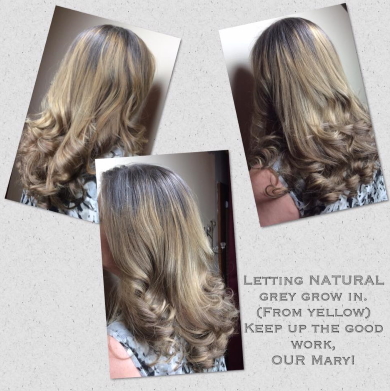 Grey Transition